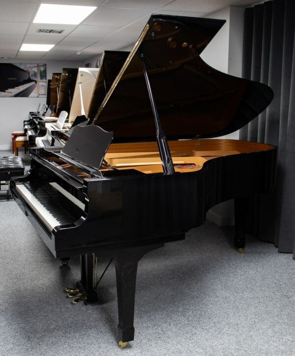 Yamaha C6 Profile
