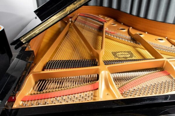 Yamaha C6 Internal 2
