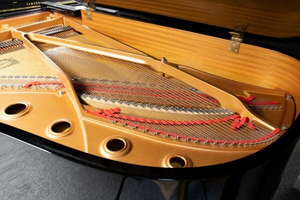 Yamaha C6 Internal Back