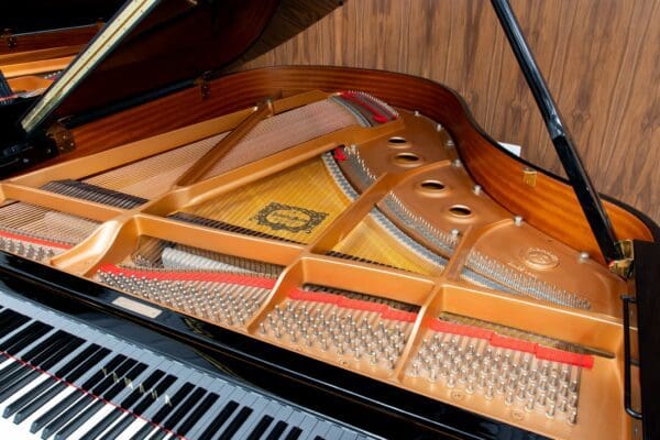 Yamaha C2 Internal