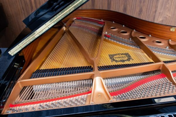 Yamaha C2 Internal 2