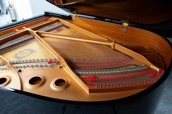 Yamaha C2 Internal Back