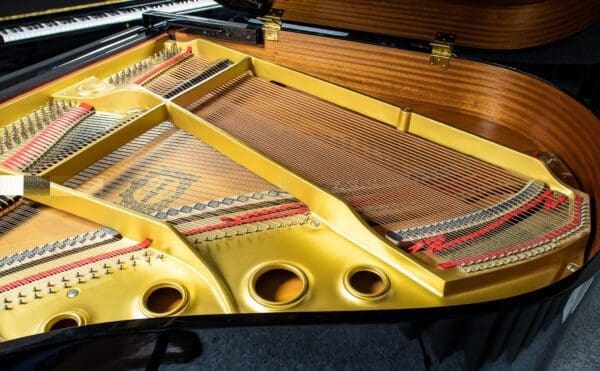 Internal Yamaha G1 Disklavia Grand