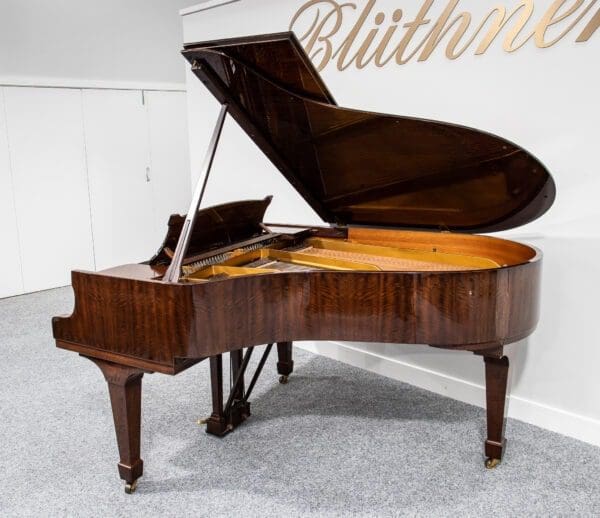 Steinway Model O Grand