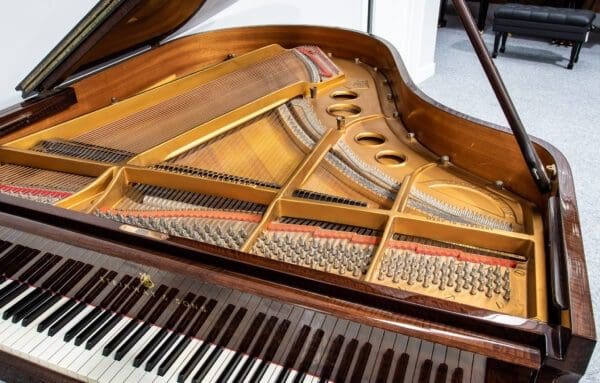 Internal Steinway Model O Grand