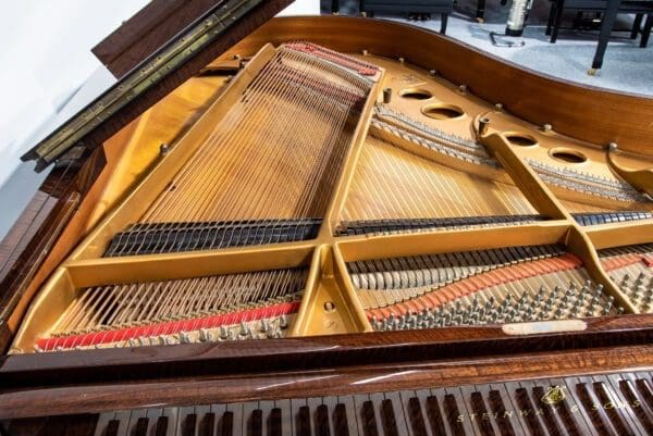 Internal Steinway Model O Grand