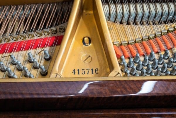 internal Steinway Model O Grand