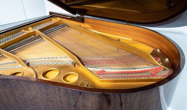 Steinway Model O Grand