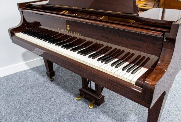 Steinway Model O Grand