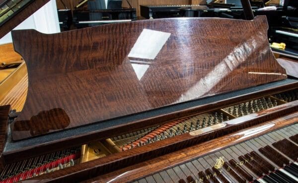 Steinway Model O Grand
