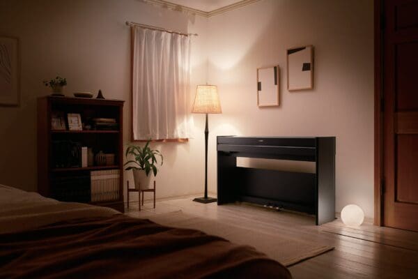 Yamaha YDP S55 Arius Digital Black Location