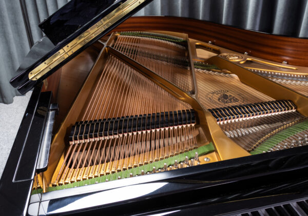 Bechstein A190 Grand (2010) - Image 2