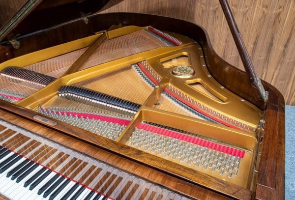 Petrof Model V Grand
