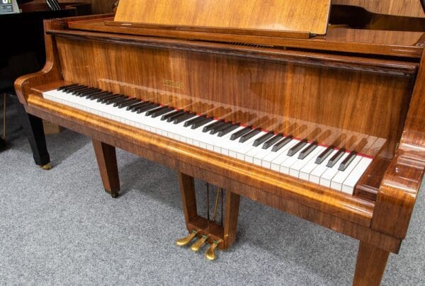 Petrof Model V Grand