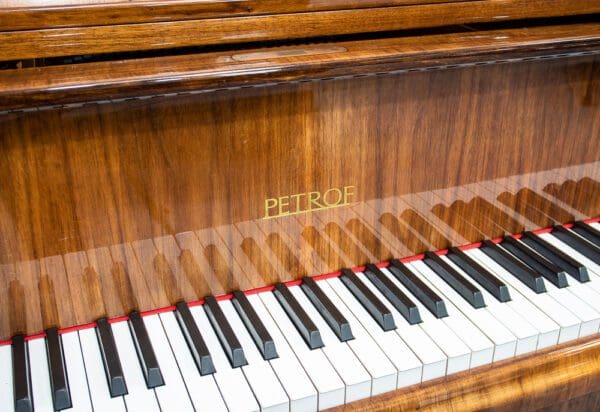 Petrof Model V Grand