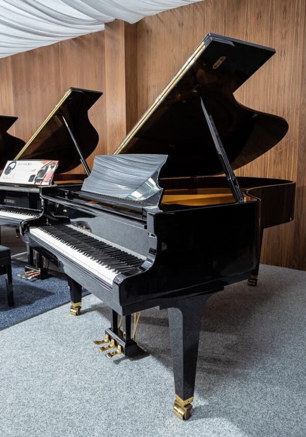 Schimmel 208