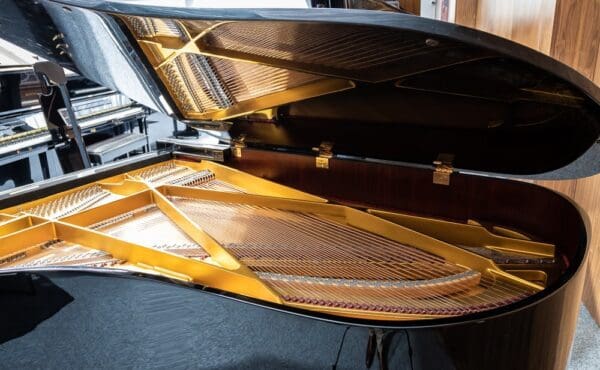 Schimmel 208 Grand