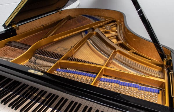 Blüthner Model 6 Grand, 2005 - Image 5