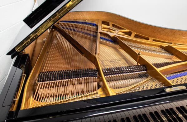 Blüthner Model 6 Grand, 2005 - Image 6