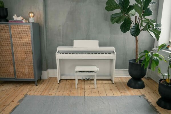 Kawai CN201 White Location
