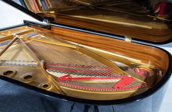 Steinway Model B Grand