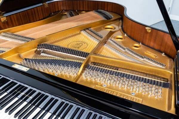 Hoffmann V 158 Grand, 2012 - Image 2