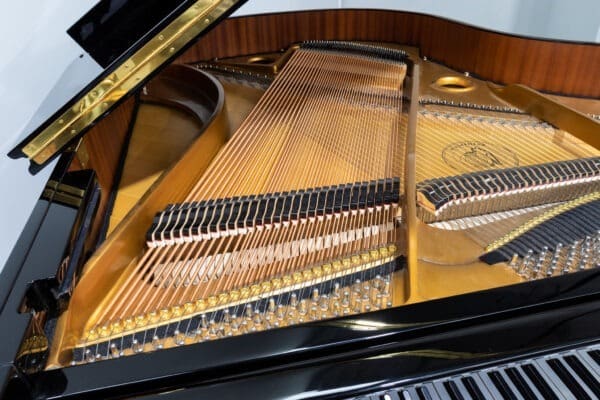 Hoffmann V 158 Grand, 2012 - Image 3