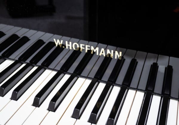 Hoffmann V 158 Grand, 2012 - Image 4