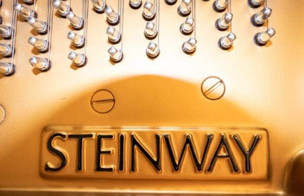 Steinway Model B Grand, 2017 - Image 7