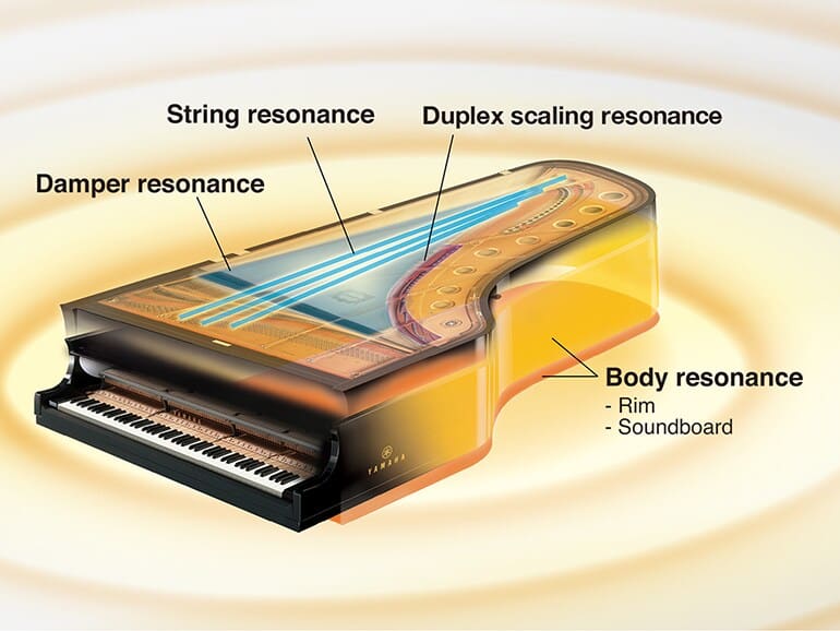 Yamaha CLP800 Series
