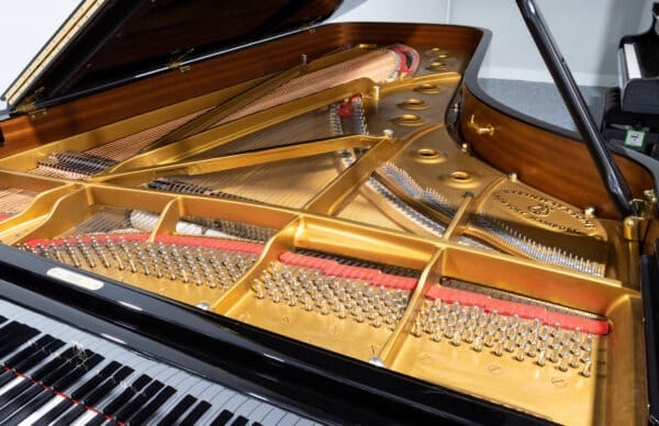 Steinway Model D Grand, 1998 - Image 4