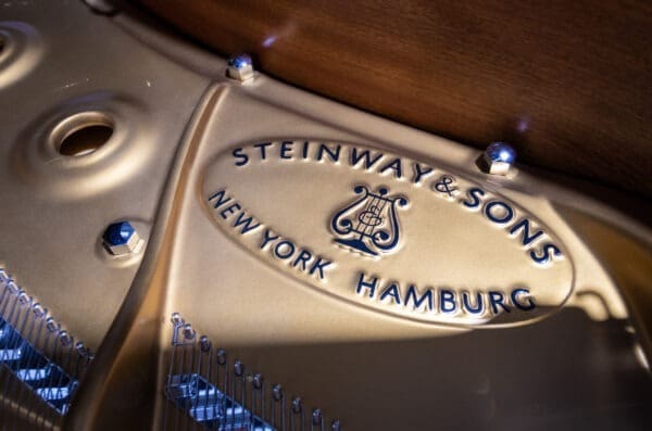 Steinway Model D Grand, 1998 - Image 6
