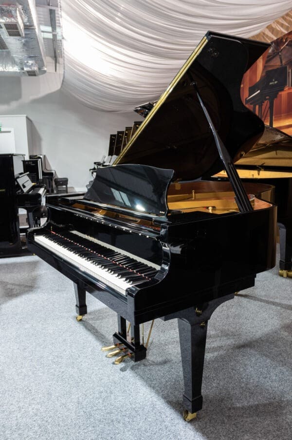 Kawai RX3 Grand, 2010