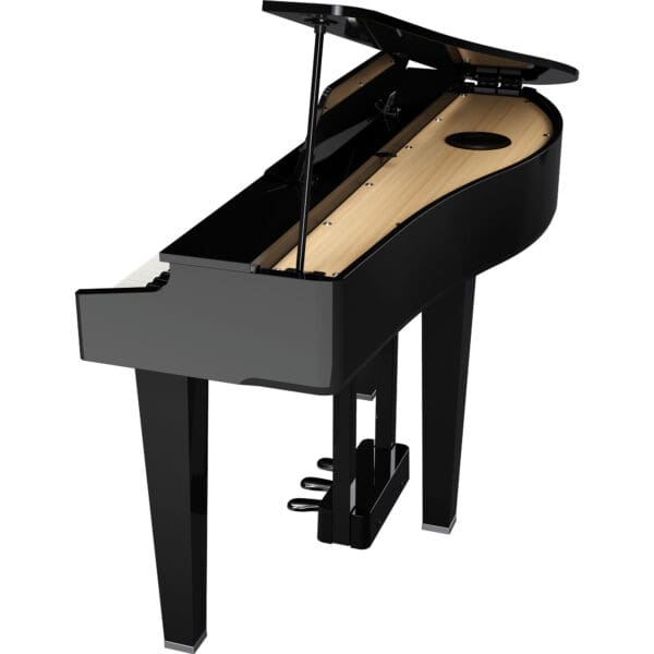 Roland GP3 Polished Ebony