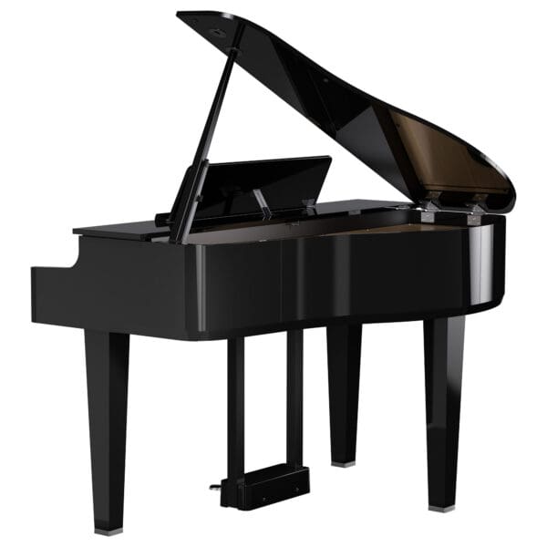 Roland GP6 Polished Ebony