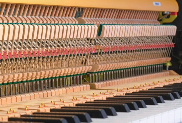 Yamaha B-Series Action