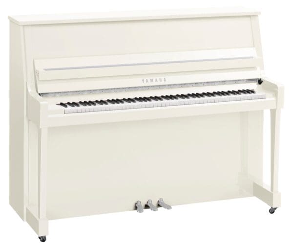 Yamaha B20 Polished White Chrome