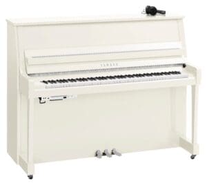 Yamaha B20 SC3 Polished White Chrome