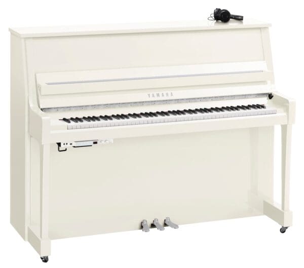 Yamaha B20 SC3 Polished White Chrome