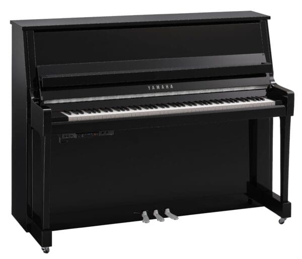 Yamaha B20 TC3 Polished Ebony Chrome