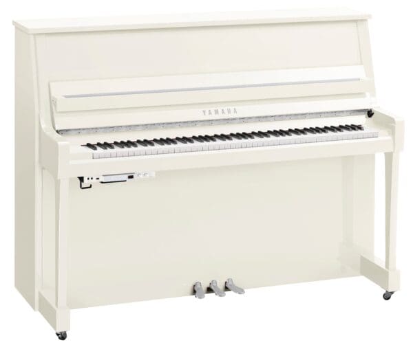 Yamaha B20 TC3 Polished White Chrome