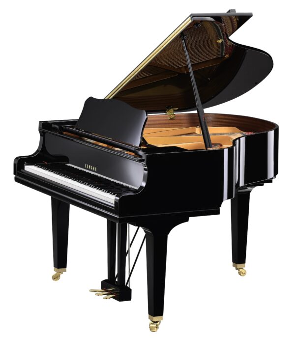 Yamaha GCB