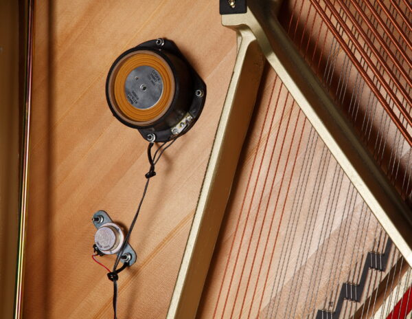 Kawai Aures 2