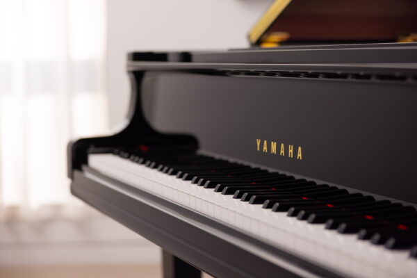 Yamaha GCB