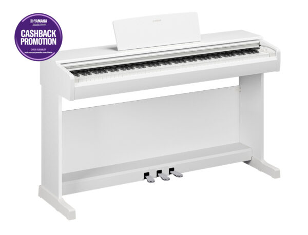 Yamaha YDP146 White Cashback
