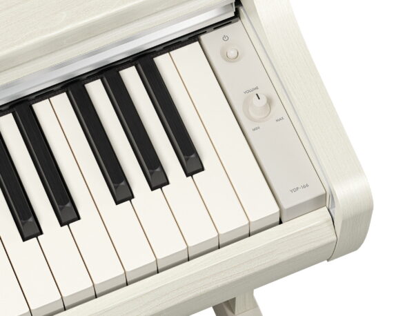 Yamaha YDP166 White Birch